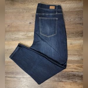Judy Blue Sz 20 Pull-on Jeggings